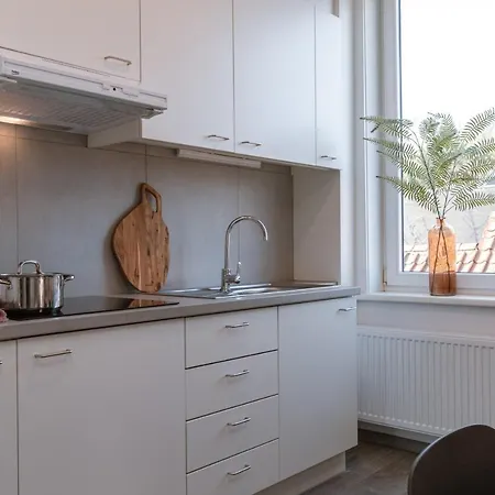 Fantastic, Spacious Holiday In The Heart Of And Close To Domain Hoge Blekker